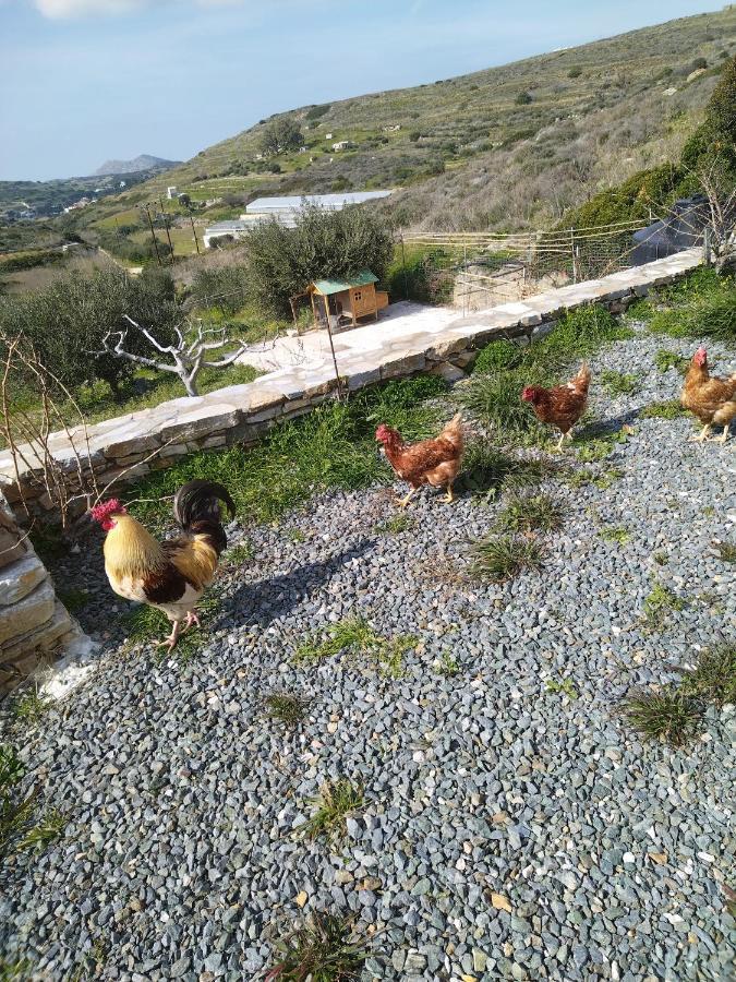 George Farmhouse Χρούσσα Εξωτερικό φωτογραφία